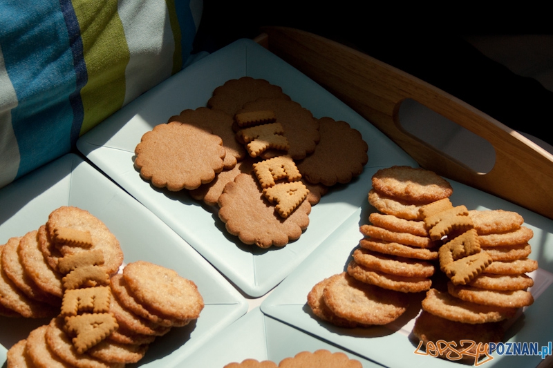 Helmut w barwach IKEA Foto: Ewelina Gutowska Helmut w barwach IKEA Foto: Ewelina Gutowska