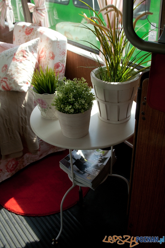 Helmut w barwach IKEA Foto: Ewelina Gutowska Helmut w barwach IKEA Foto: Ewelina Gutowska