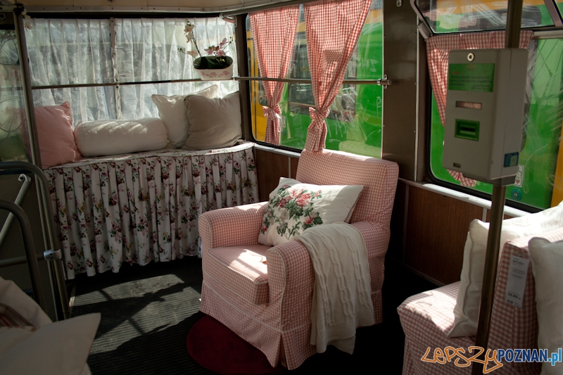 Helmut w barwach IKEA Foto: Ewelina Gutowska Helmut w barwach IKEA Foto: Ewelina Gutowska