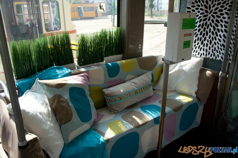 Helmut w barwach IKEA Foto: Ewelina Gutowska Helmut w barwach IKEA Foto: Ewelina Gutowska