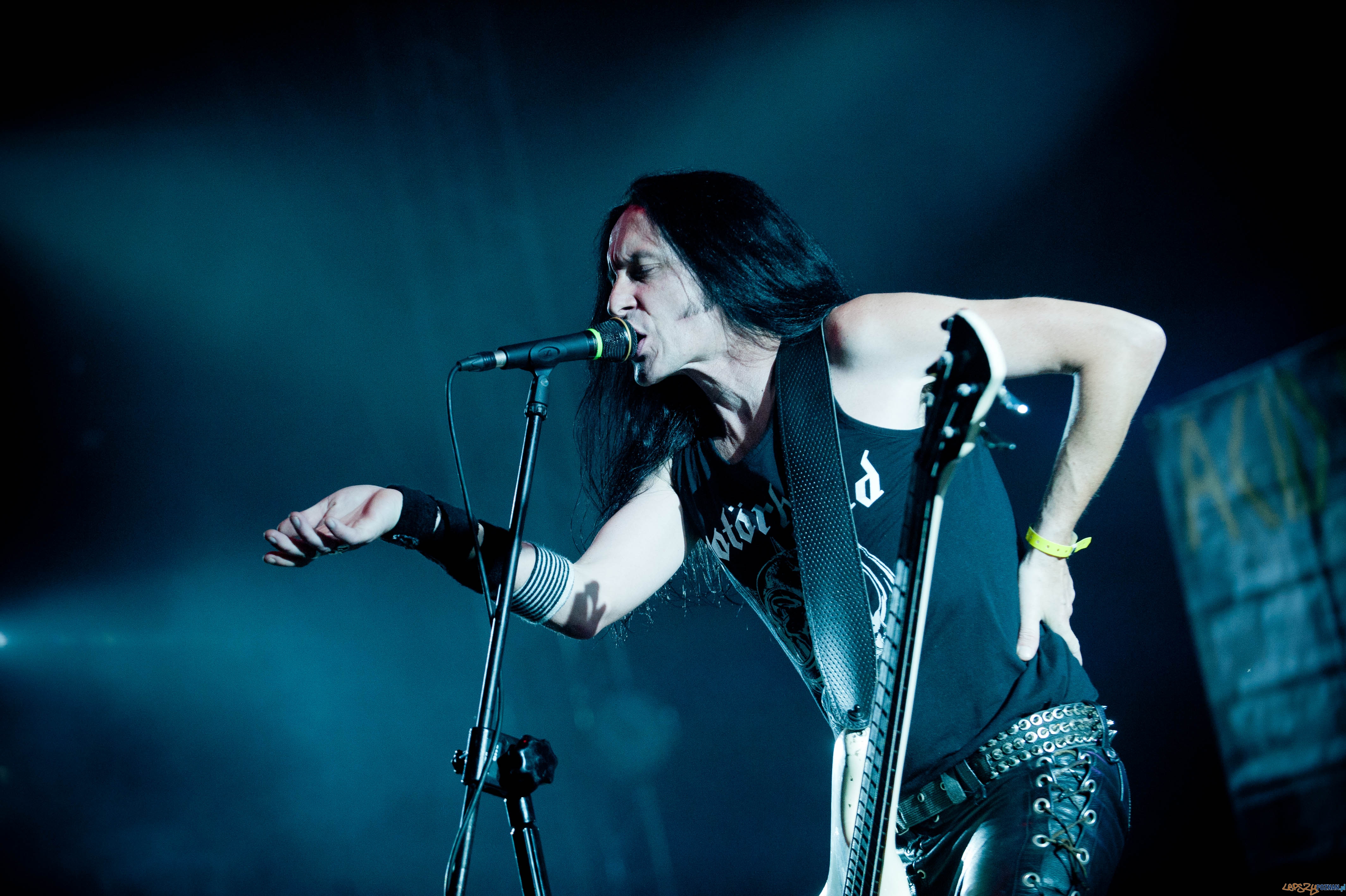 Męskie Granie Poznań, 04.08.2012 Foto: Piotr Tarasewicz / LIVE Męskie Granie Poznań, 04.08.2012 Foto: Piotr Tarasewicz / LIVE