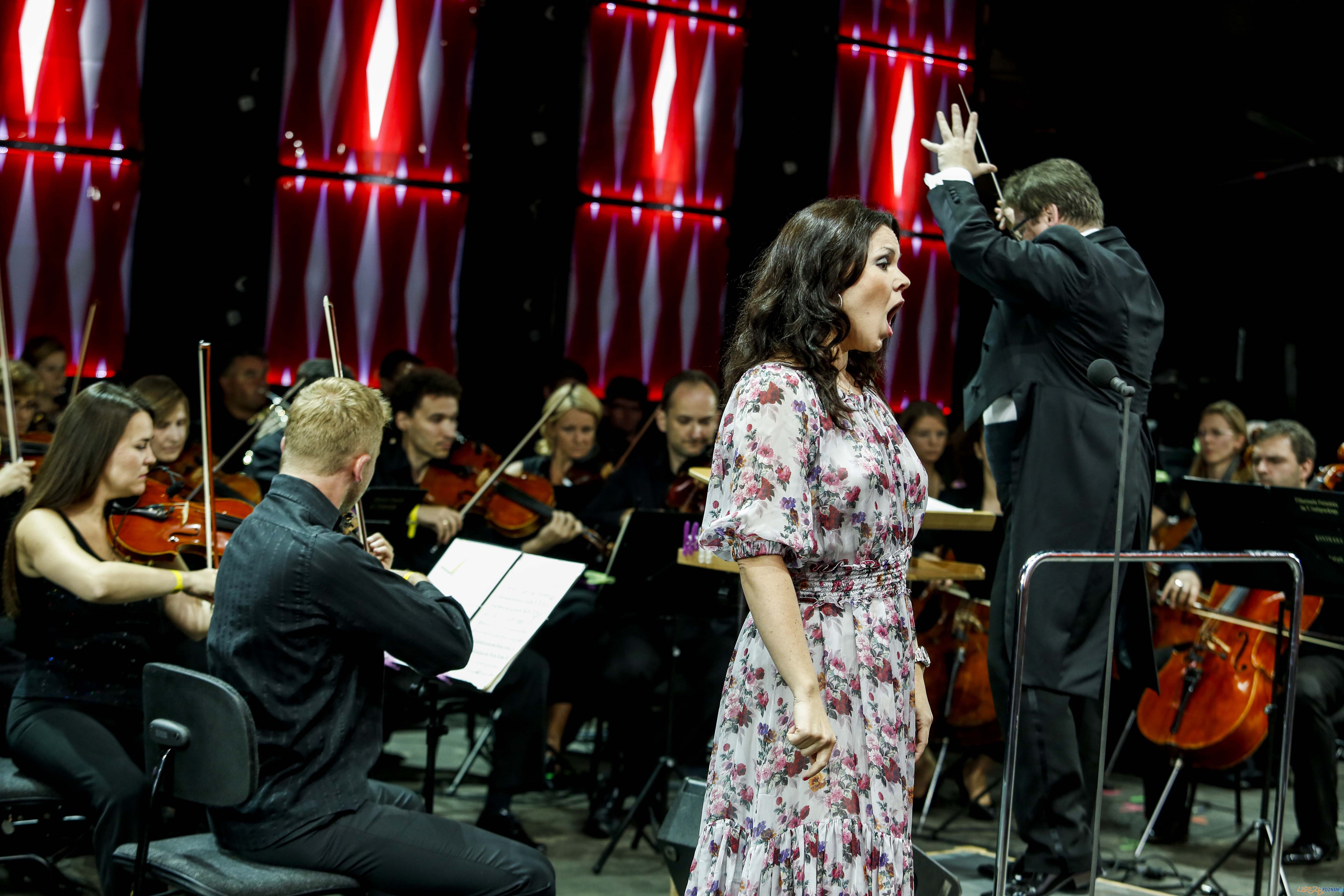 Męskie Granie Poznań, 04.08.2012 Foto: DAMIAN KRAMSKI/LIVE Męskie Granie Poznań, 04.08.2012 Foto: DAMIAN KRAMSKI/LIVE