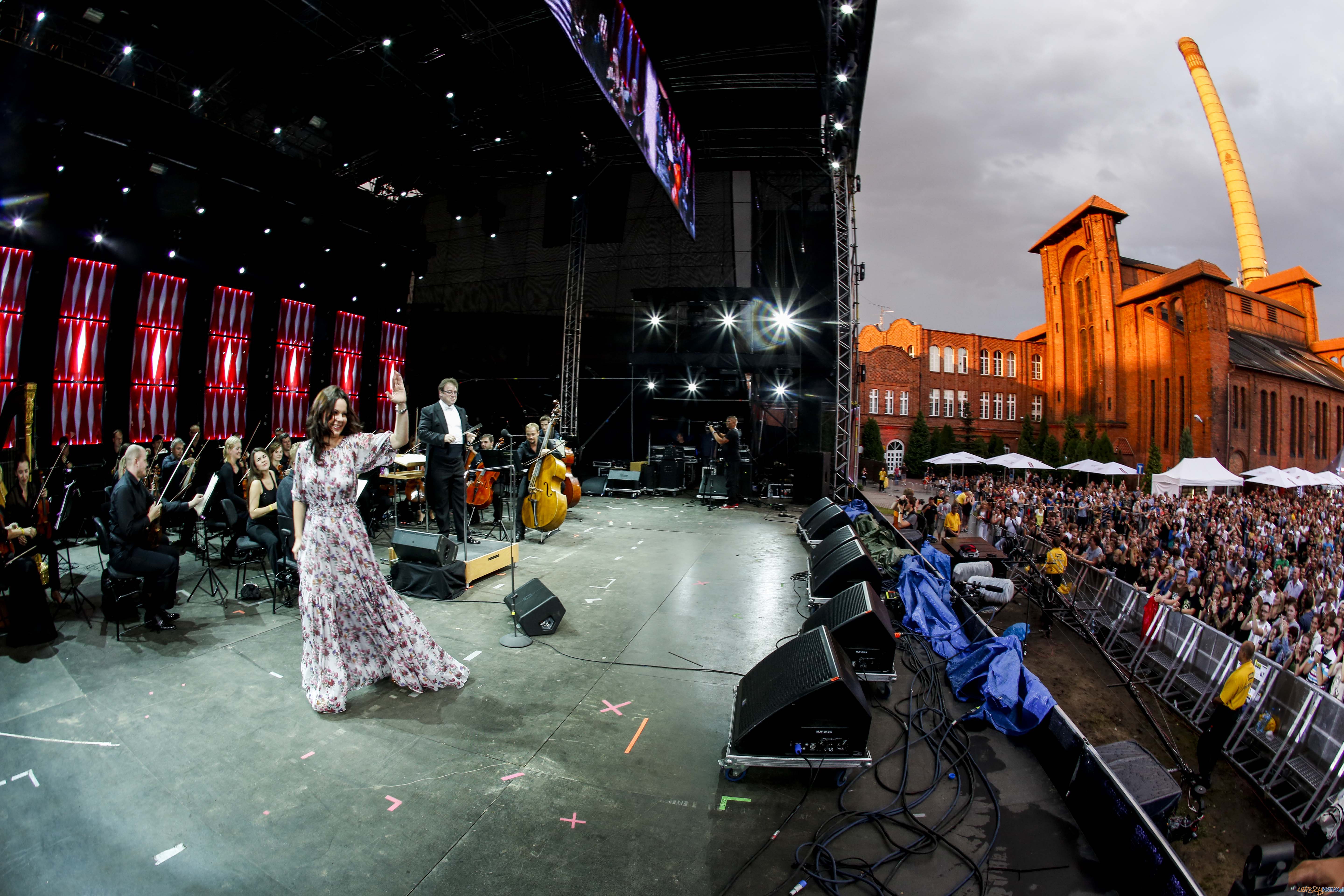Męskie Granie Poznań, 04.08.2012 Foto: DAMIAN KRAMSKI/LIVE Męskie Granie Poznań, 04.08.2012 Foto: DAMIAN KRAMSKI/LIVE