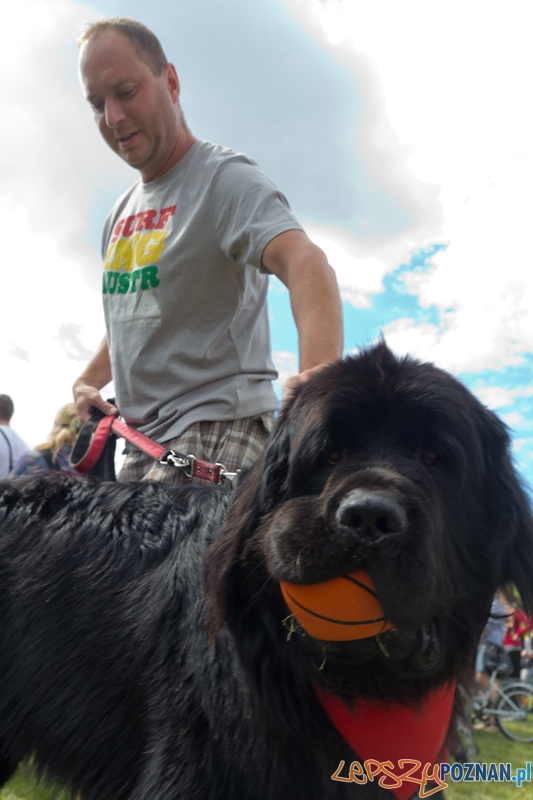 Dog Chow - Latające psy. Poznań Cytadela Foto: lepszyPOZNAN.pl / Piotr Rychter Dog Chow - Latające psy. Poznań Cytadela Foto: lepszyPOZNAN.pl / Piotr Rychter
