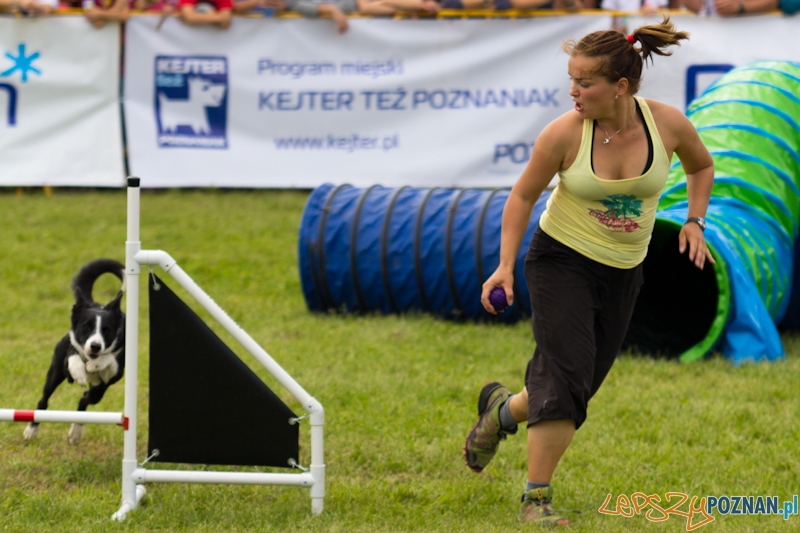 Dog Chow - Latające psy. Poznań Cytadela Foto: lepszyPOZNAN.pl / Piotr Rychter Dog Chow - Latające psy. Poznań Cytadela Foto: lepszyPOZNAN.pl / Piotr Rychter
