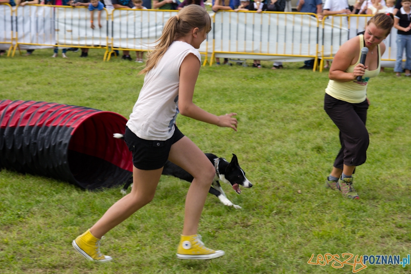 Dog Chow - Latające psy. Poznań Cytadela Foto: lepszyPOZNAN.pl / Piotr Rychter Dog Chow - Latające psy. Poznań Cytadela Foto: lepszyPOZNAN.pl / Piotr Rychter