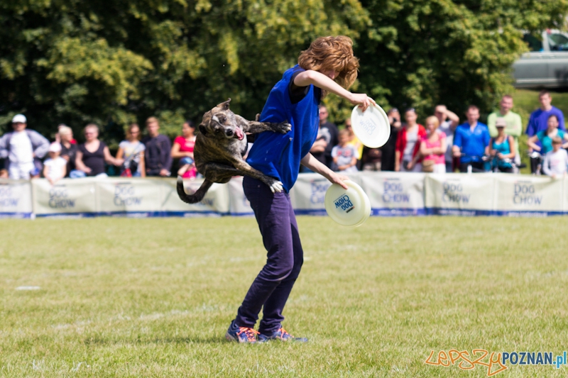Dog Chow - Latające psy. Poznań Cytadela Foto: lepszyPOZNAN.pl / Piotr Rychter Dog Chow - Latające psy. Poznań Cytadela Foto: lepszyPOZNAN.pl / Piotr Rychter