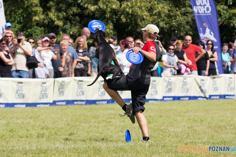 Dog Chow - Latające psy. Poznań Cytadela Foto: lepszyPOZNAN.pl / Piotr Rychter Dog Chow - Latające psy. Poznań Cytadela Foto: lepszyPOZNAN.pl / Piotr Rychter