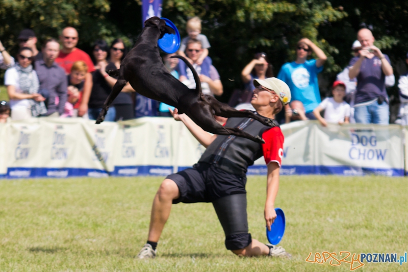 Dog Chow - Latające psy. Poznań Cytadela Foto: lepszyPOZNAN.pl / Piotr Rychter Dog Chow - Latające psy. Poznań Cytadela Foto: lepszyPOZNAN.pl / Piotr Rychter