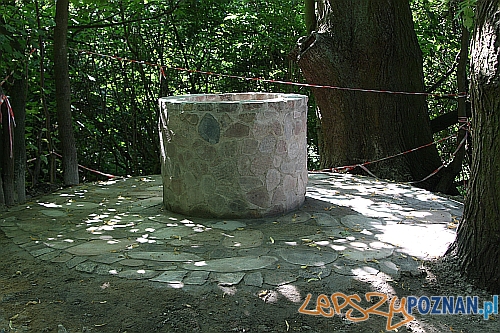 Studnia Napoleona  Foto: UMiG Mosina