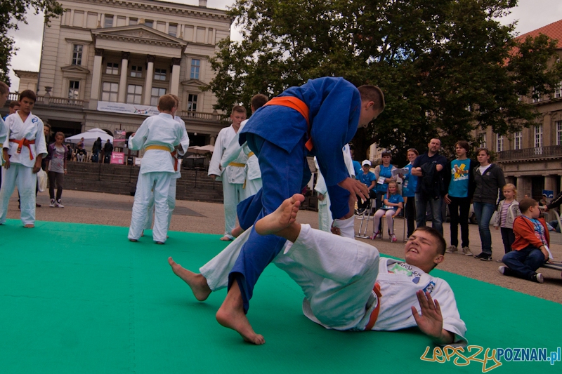 III Poznański Dzień Organizacji Pozarządowych - Poznań 08.09.2012 r. Foto: LepszyPOZNAN.pl / Paweł Rychter III Poznański Dzień Organizacji Pozarządowych - Poznań 08.09.2012 r. Foto: LepszyPOZNAN.pl / Paweł Rychter