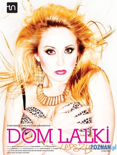 Dom Lalki  Foto: Teatr Nowy w Poznaniu