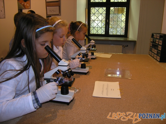 Warsztaty w Muzeum Archeologicznym (4) Foto: Warsztaty w Muzeum Archeologicznym (4) Foto: