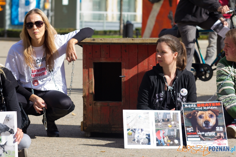 Akcja Zerwijmy łańcuchy - plac Wolności 23.09.2012 r. Foto: lepszyPOZNAN.pl / Piotr Rychter Akcja Zerwijmy łańcuchy - plac Wolności 23.09.2012 r. Foto: lepszyPOZNAN.pl / Piotr Rychter