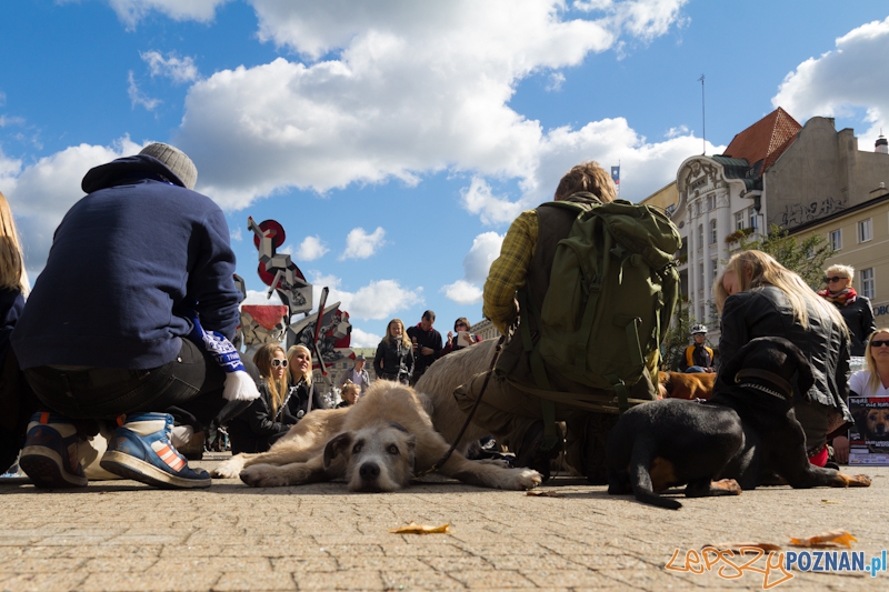 Akcja Zerwijmy łańcuchy - plac Wolności 23.09.2012 r. Foto: lepszyPOZNAN.pl / Piotr Rychter Akcja Zerwijmy łańcuchy - plac Wolności 23.09.2012 r. Foto: lepszyPOZNAN.pl / Piotr Rychter