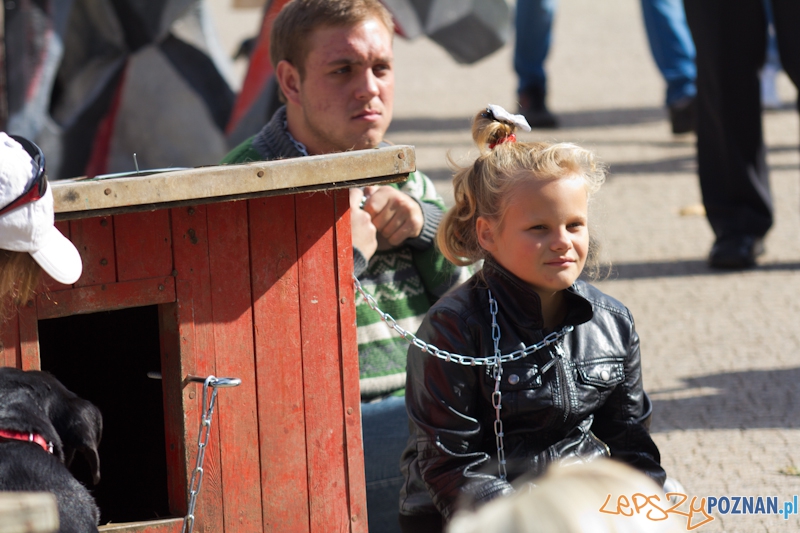Akcja Zerwijmy łańcuchy - plac Wolności 23.09.2012 r. Foto: lepszyPOZNAN.pl / Piotr Rychter Akcja Zerwijmy łańcuchy - plac Wolności 23.09.2012 r. Foto: lepszyPOZNAN.pl / Piotr Rychter