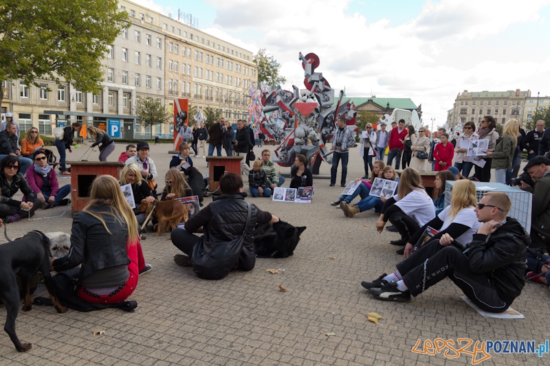 Akcja Zerwijmy łańcuchy - plac Wolności 23.09.2012 r. Foto: lepszyPOZNAN.pl / Piotr Rychter Akcja Zerwijmy łańcuchy - plac Wolności 23.09.2012 r. Foto: lepszyPOZNAN.pl / Piotr Rychter