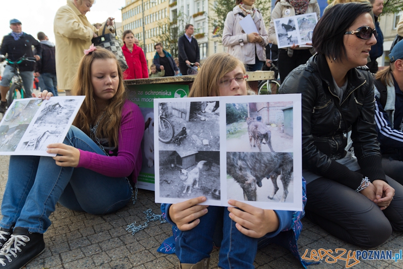 Akcja Zerwijmy łańcuchy - plac Wolności 23.09.2012 r. Foto: lepszyPOZNAN.pl / Piotr Rychter Akcja Zerwijmy łańcuchy - plac Wolności 23.09.2012 r. Foto: lepszyPOZNAN.pl / Piotr Rychter