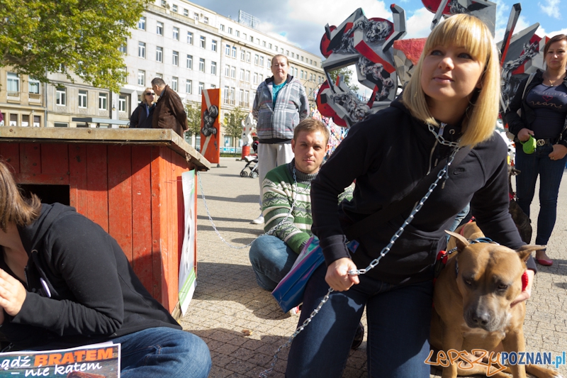 Akcja Zerwijmy łańcuchy, akcję wspiera Kasia Bujakiewicz - plac Wolności 23.09.2012 r. Foto: lepszyPOZNAN.pl / Piotr Rychter Akcja Zerwijmy łańcuchy, akcję wspiera Kasia Bujakiewicz - plac Wolności 23.09.2012 r. Foto: lepszyPOZNAN.pl / Piotr Rychter