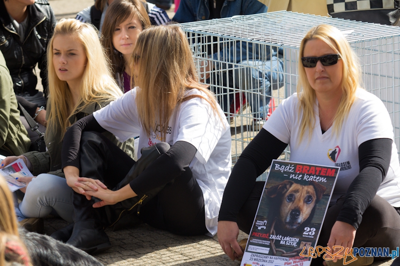 Akcja Zerwijmy łańcuchy - plac Wolności 23.09.2012 r. Foto: lepszyPOZNAN.pl / Piotr Rychter Akcja Zerwijmy łańcuchy - plac Wolności 23.09.2012 r. Foto: lepszyPOZNAN.pl / Piotr Rychter