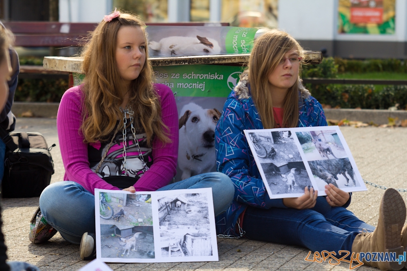 Akcja Zerwijmy łańcuchy - plac Wolności 23.09.2012 r. Foto: lepszyPOZNAN.pl / Piotr Rychter Akcja Zerwijmy łańcuchy - plac Wolności 23.09.2012 r. Foto: lepszyPOZNAN.pl / Piotr Rychter