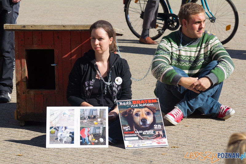 Akcja Zerwijmy łańcuchy - plac Wolności 23.09.2012 r. Foto: lepszyPOZNAN.pl / Piotr Rychter Akcja Zerwijmy łańcuchy - plac Wolności 23.09.2012 r. Foto: lepszyPOZNAN.pl / Piotr Rychter