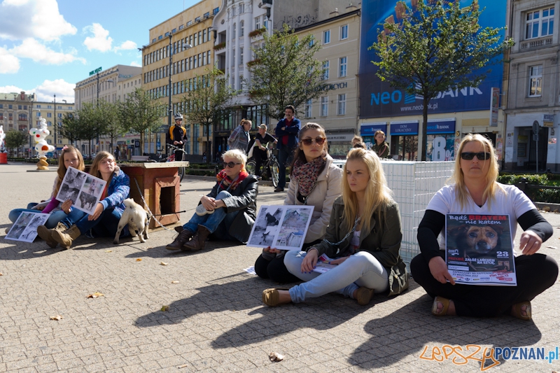 Akcja Zerwijmy łańcuchy - plac Wolności 23.09.2012 r. Foto: lepszyPOZNAN.pl / Piotr Rychter Akcja Zerwijmy łańcuchy - plac Wolności 23.09.2012 r. Foto: lepszyPOZNAN.pl / Piotr Rychter