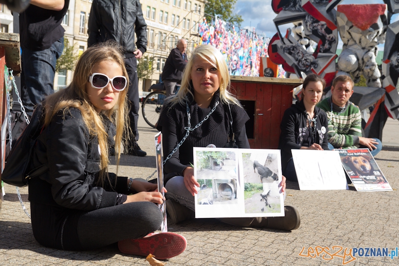 Akcja Zerwijmy łańcuchy - plac Wolności 23.09.2012 r. Foto: lepszyPOZNAN.pl / Piotr Rychter Akcja Zerwijmy łańcuchy - plac Wolności 23.09.2012 r. Foto: lepszyPOZNAN.pl / Piotr Rychter
