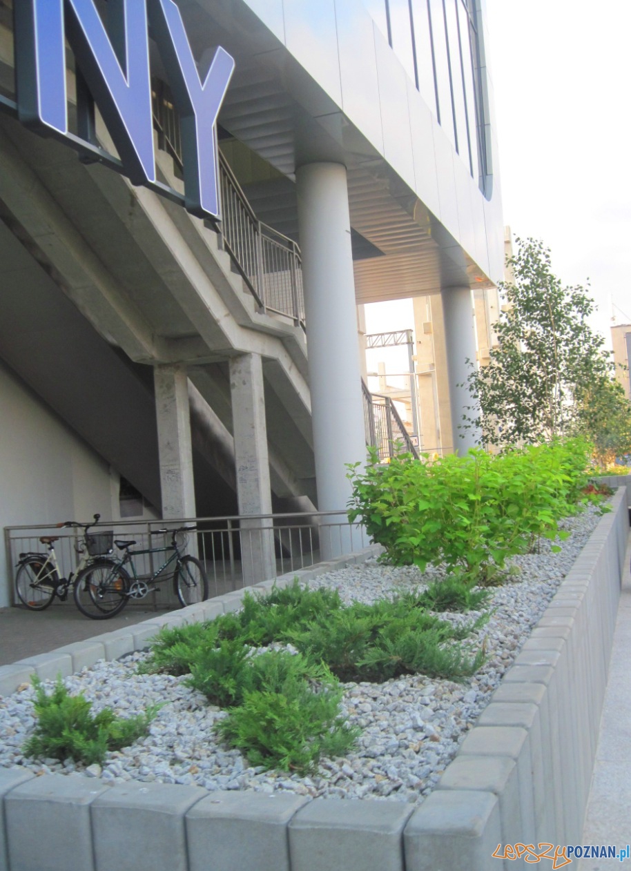 zieleń przy nowym dworcu PKP (3) Foto: zieleń przy nowym dworcu PKP (3) Foto: