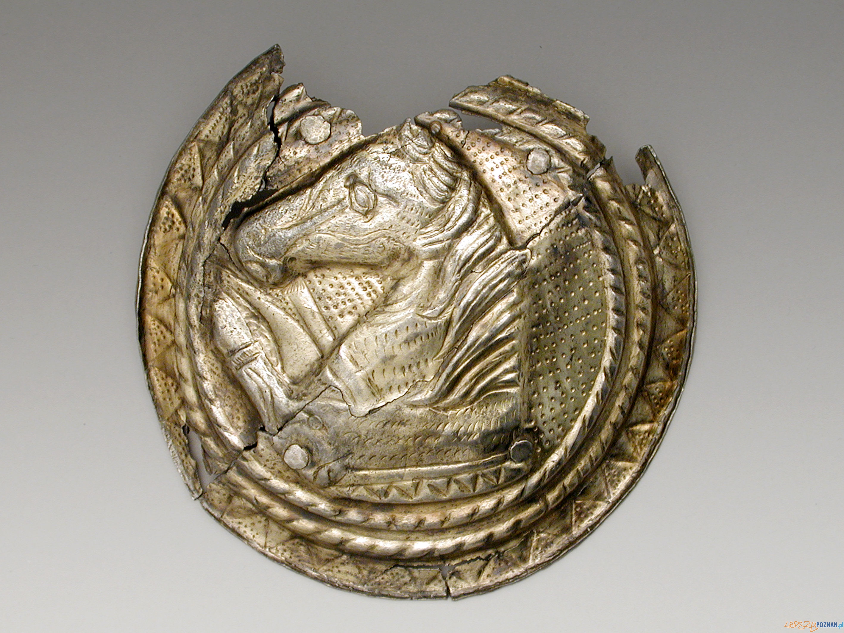 1 Foto: MVF Berlin Foto:Claudia Plamp 2010 1 Foto: MVF Berlin Foto:Claudia Plamp 2010