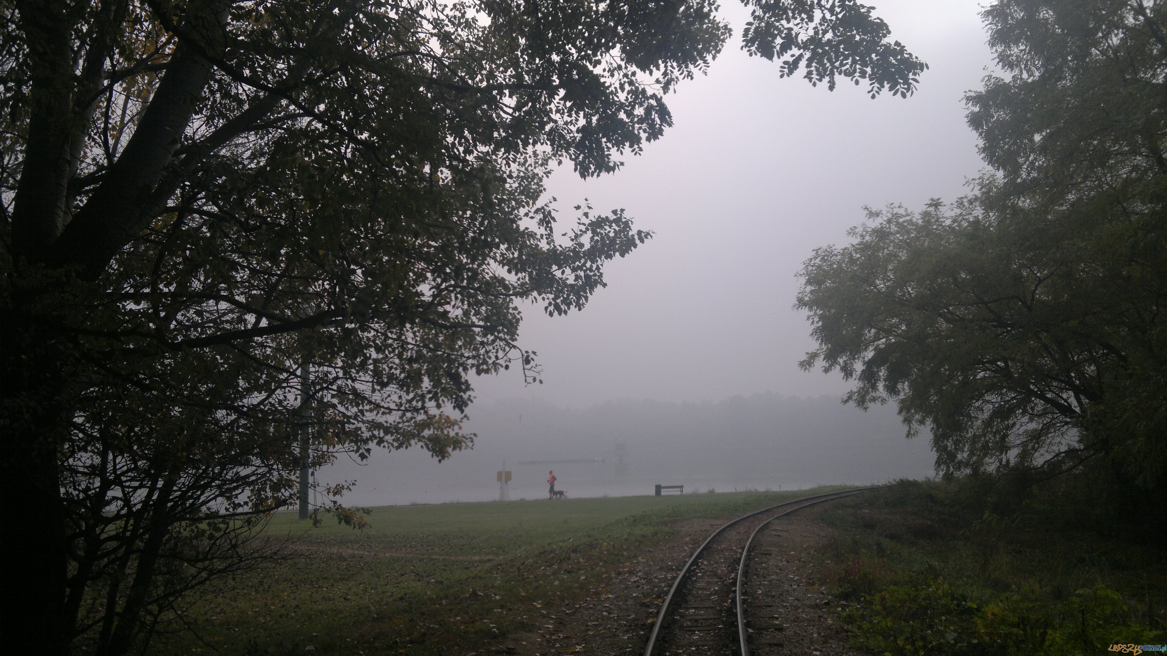 Maltanka jesienią (3) Foto: Maltanka jesienią (3) Foto: