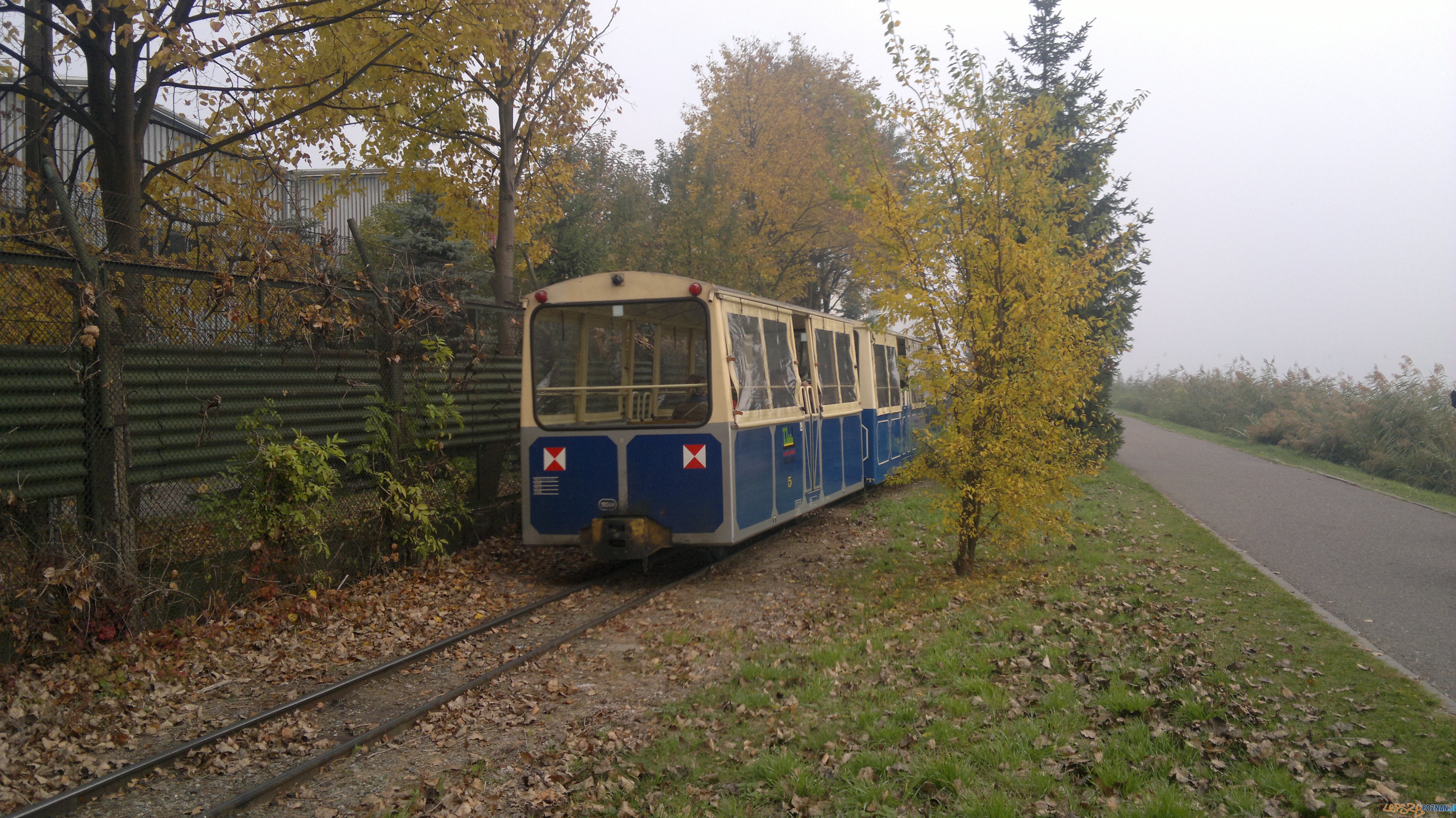 Maltanka ostatnie kursy Foto: Tomasz Dworek Maltanka ostatnie kursy Foto: Tomasz Dworek
