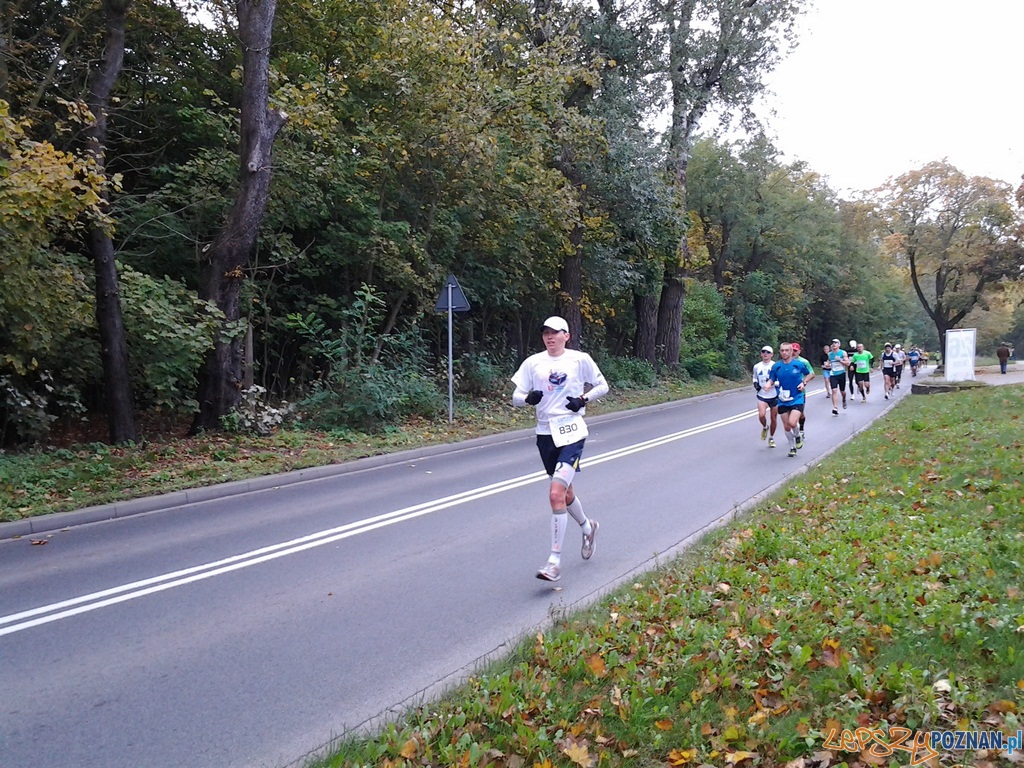 Maraton – 26 kilometr Foto: Maraton – 26 kilometr Foto: