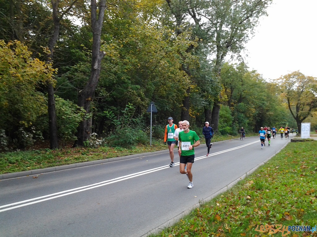 Maraton – 26 kilometr Foto: Maraton – 26 kilometr Foto: