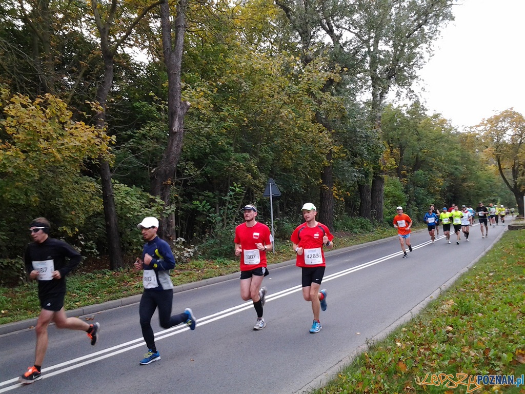 Maraton – 26 kilometr Foto: Maraton – 26 kilometr Foto: