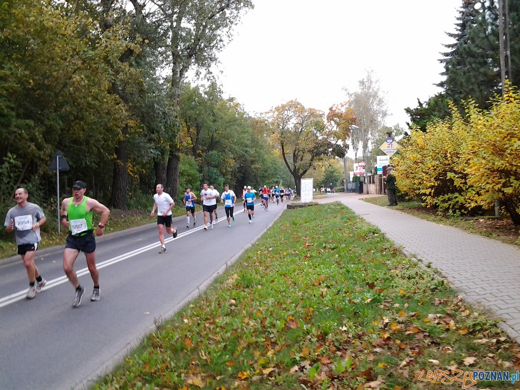 Maraton – 26 kilometr Foto: Maraton – 26 kilometr Foto: