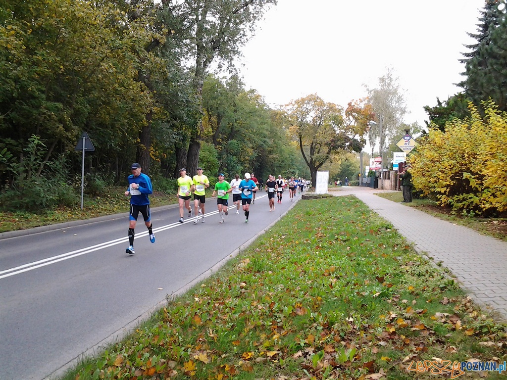 Maraton – 26 kilometr Foto: Maraton – 26 kilometr Foto: