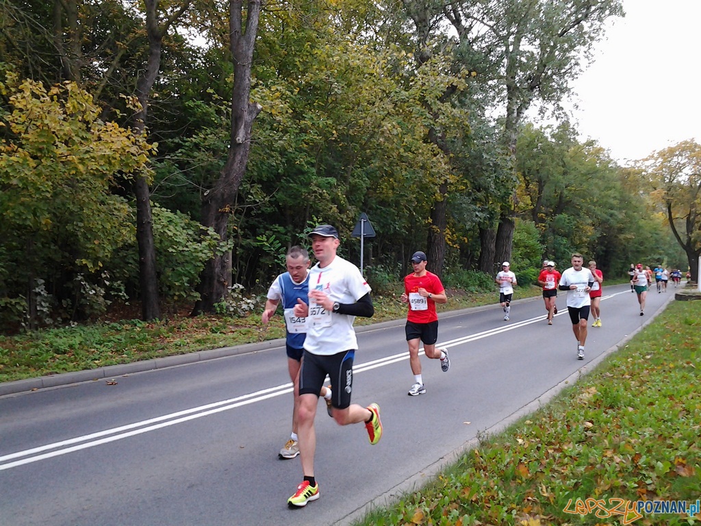 Maraton – 26 kilometr Foto: Maraton – 26 kilometr Foto: