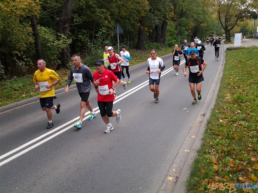 Maraton – 26 kilometr Foto: Maraton – 26 kilometr Foto: