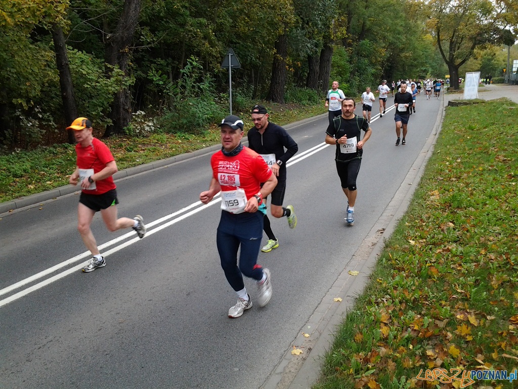 Maraton – 26 kilometr Foto: Maraton – 26 kilometr Foto: