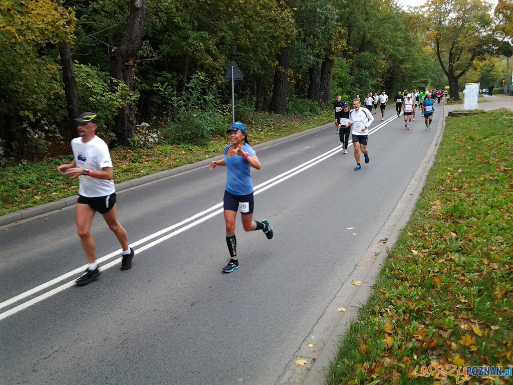 Maraton – 26 kilometr Foto: Maraton – 26 kilometr Foto: