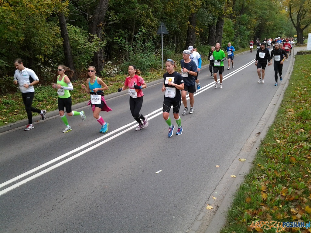 Maraton – 26 kilometr Foto: Maraton – 26 kilometr Foto: