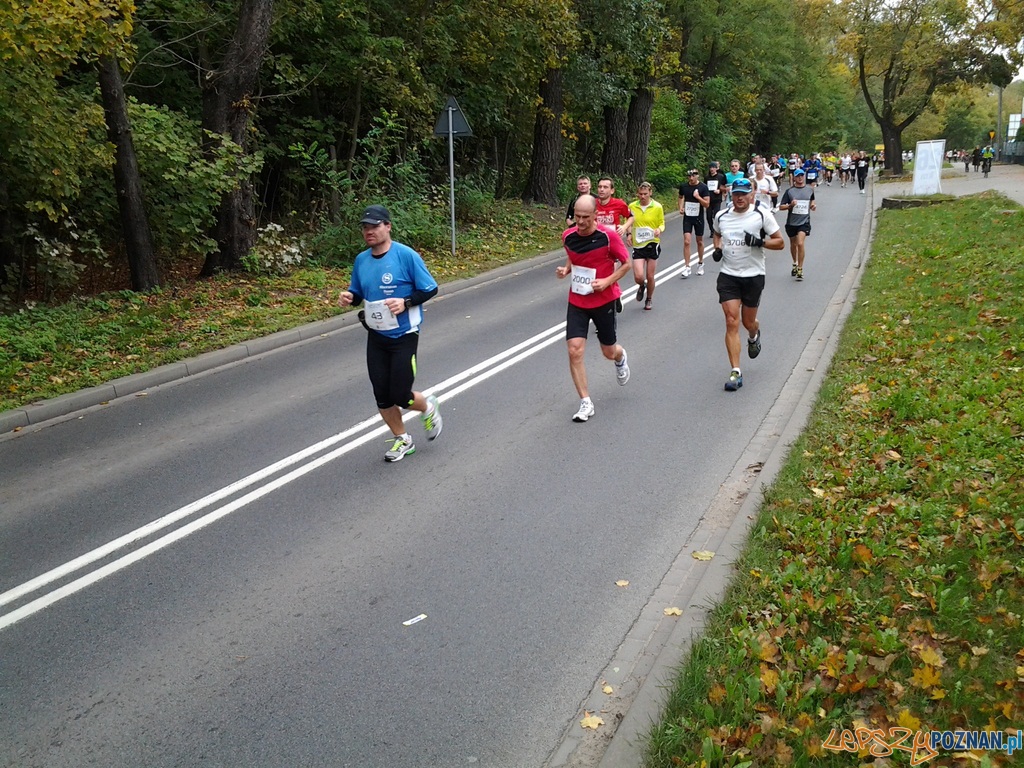 Maraton – 26 kilometr Foto: Maraton – 26 kilometr Foto: