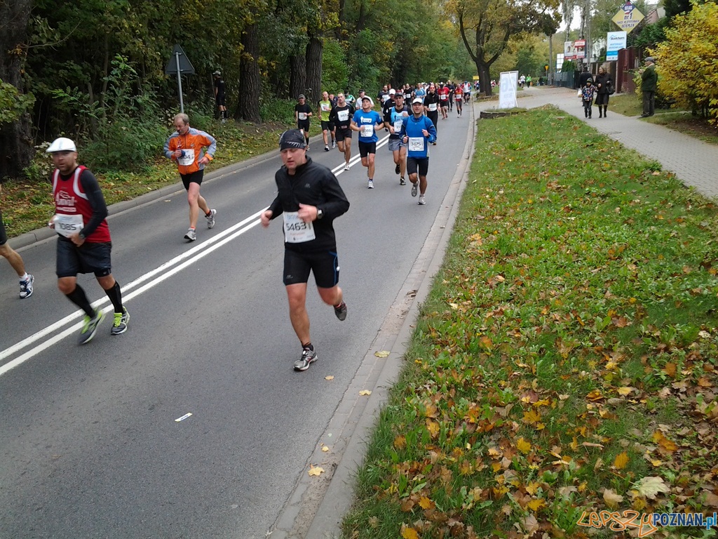 Maraton – 26 kilometr Foto: Maraton – 26 kilometr Foto: