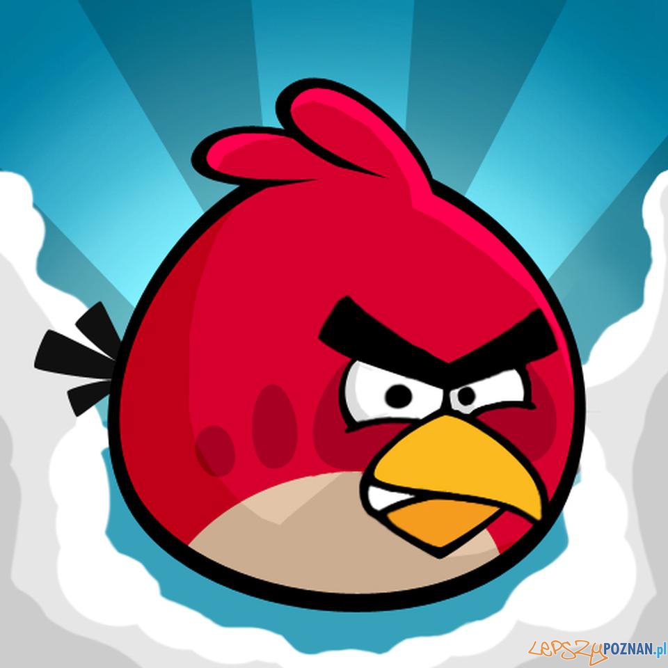 Angry Birds Foto: Angry Birds Angry Birds Foto: Angry Birds