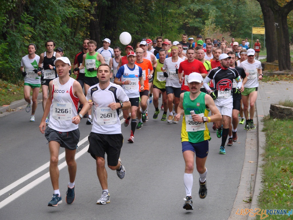Maraton 2012 - 26 kilometr Foto: Maraton 2012 - 26 kilometr Foto: