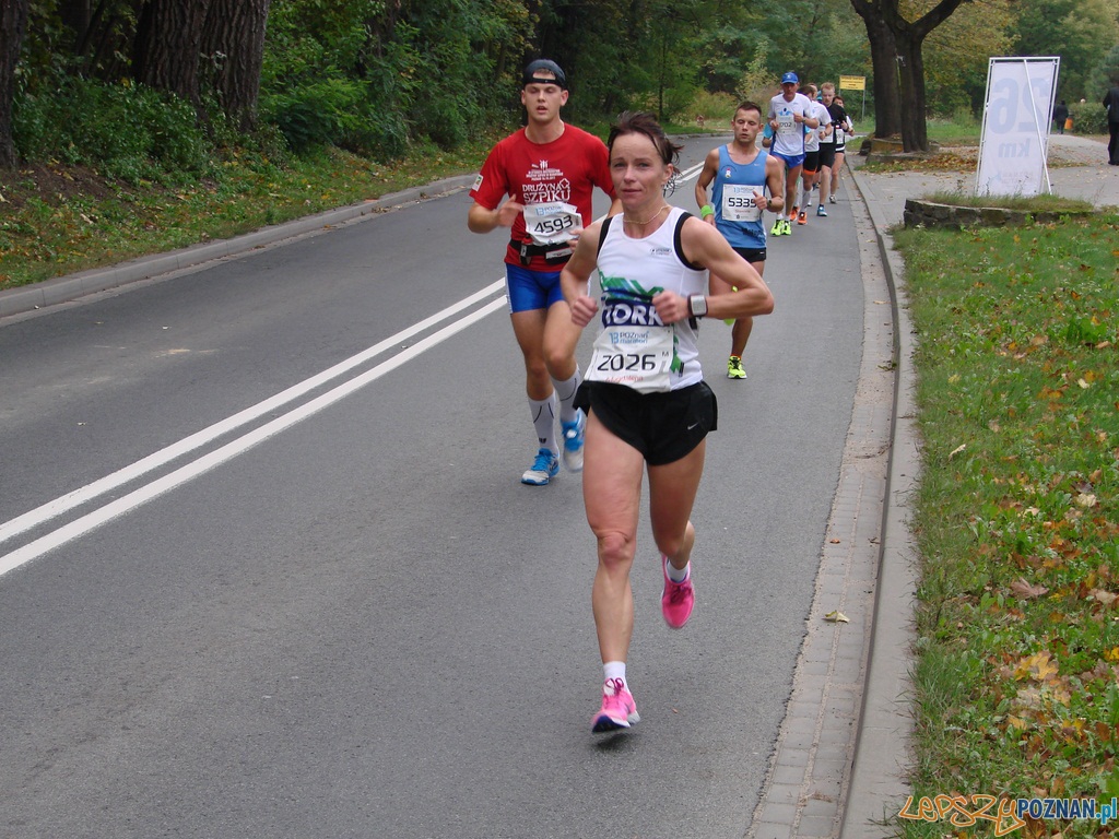 Maraton 2012 - 26 kilometr Foto: Maraton 2012 - 26 kilometr Foto: