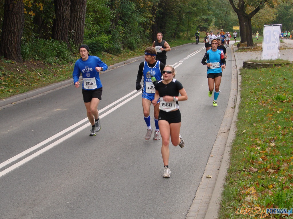 Maraton 2012 - 26 kilometr Foto: Maraton 2012 - 26 kilometr Foto: