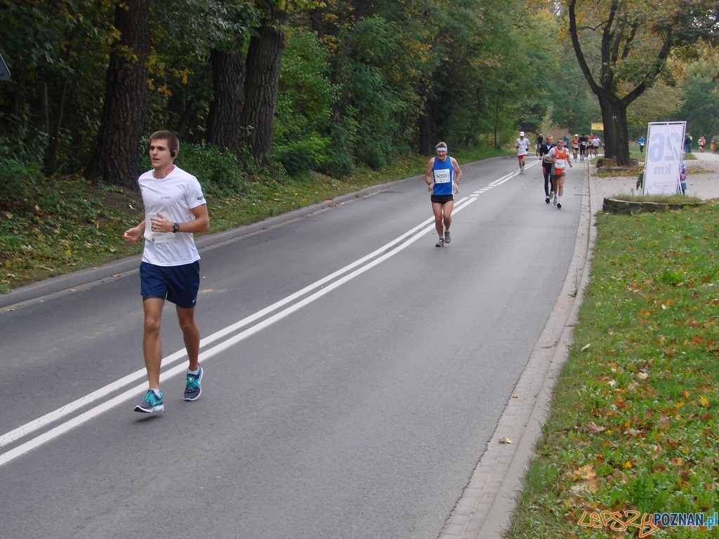 Maraton 2012 - 26 kilometr Foto: Maraton 2012 - 26 kilometr Foto: