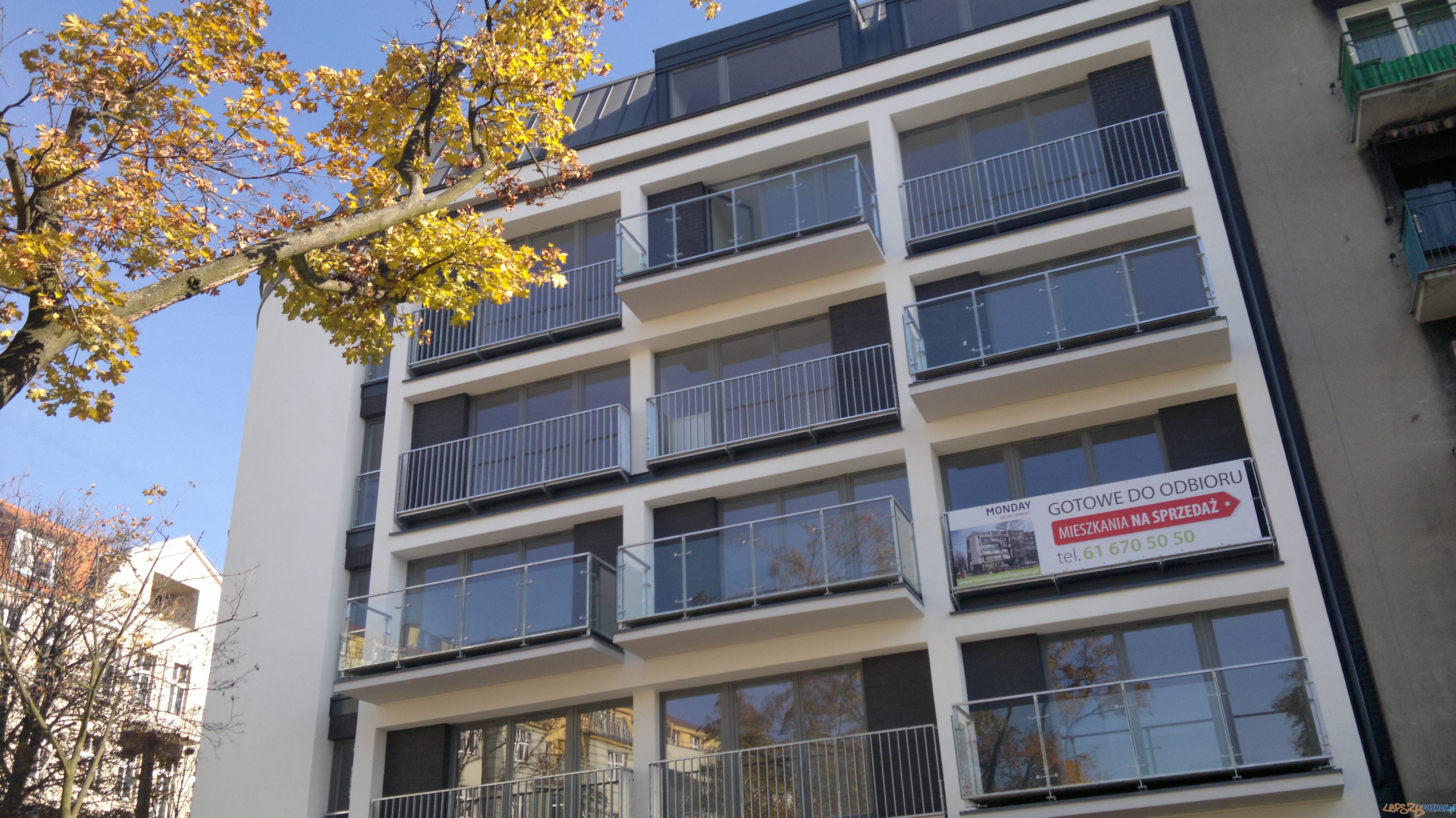 Kamienica na Wildzie 2 Foto: Kamienica na Wildzie 2 Foto: